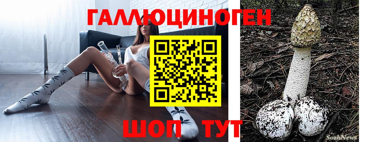 где можно купить   Вход с VPN  Кандалакша  Псилоцибиновые грибы Magic Shrooms 