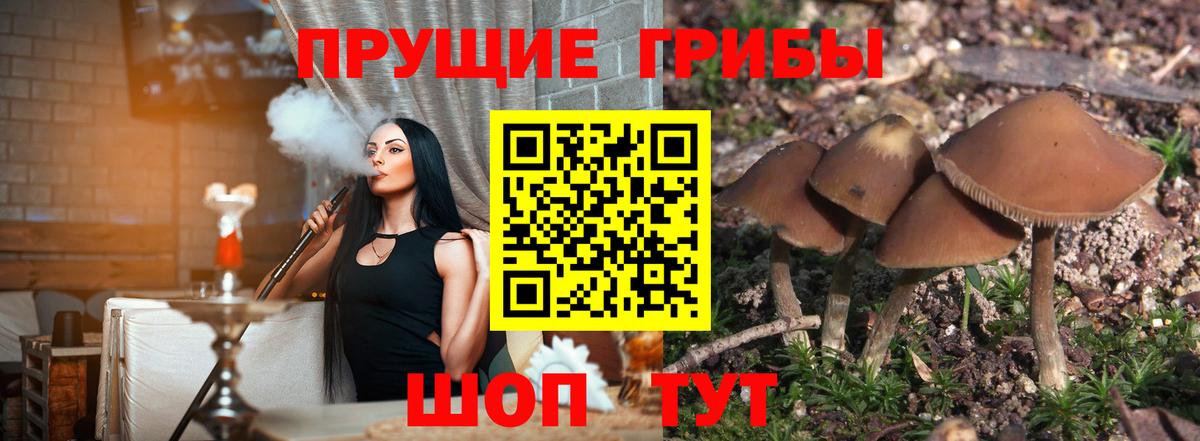 Галлюциногенные грибы мухоморы Кандалакша